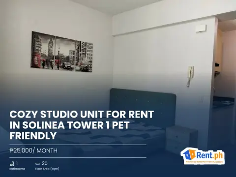 Cozy Studio Unit For Rent in Solinea Tower 1 Pet Friendly