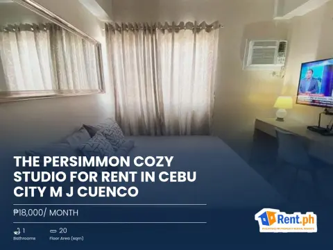 The Persimmon Cozy Studio For Rent in Cebu City M J Cuenco