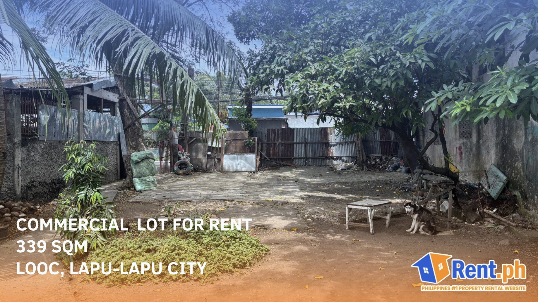 🚀Lot For RENT in Looc, Lapu-Lapu City! https://www.rent.ph/uploads/0014/14338/2025/09/30/screenshot-2025-09-30-at-21450-am.png