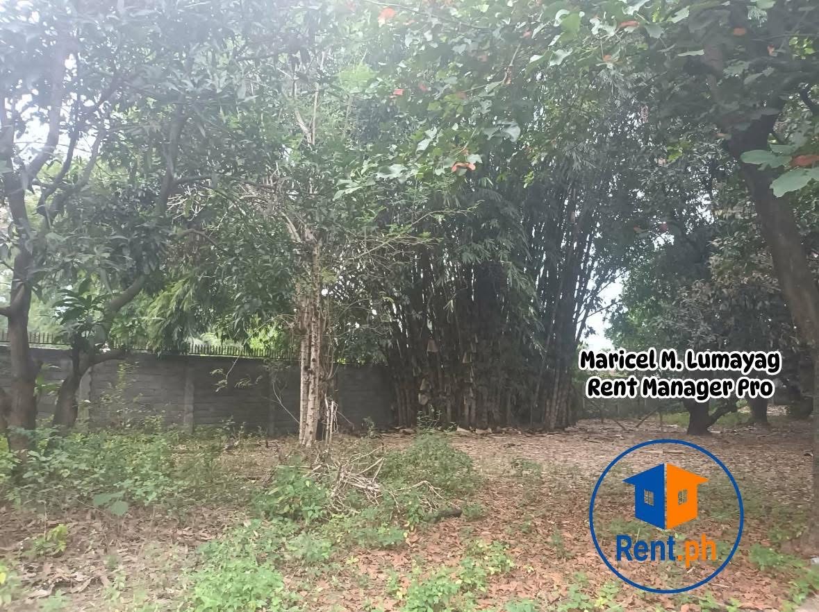 4000 SQM Lot for Rent in Tagoloan Misamis Oriental https://www.rent.ph/uploads/0015/15625/2026/02/14/img-4046.jpeg