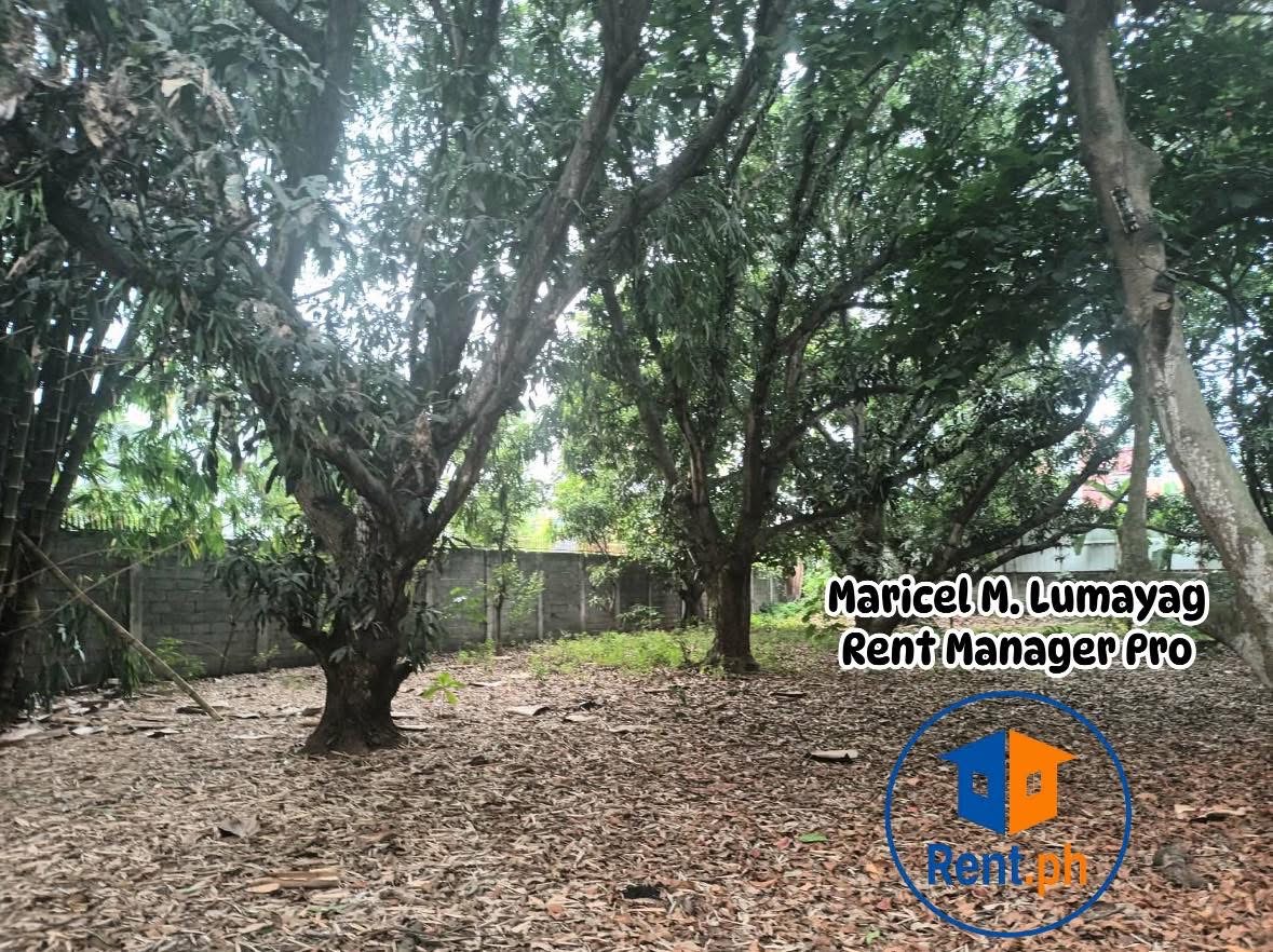 3000 SQM Lot for Rent in Tagoloan https://www.rent.ph/uploads/0015/15625/2026/02/14/img-40471.jpeg
