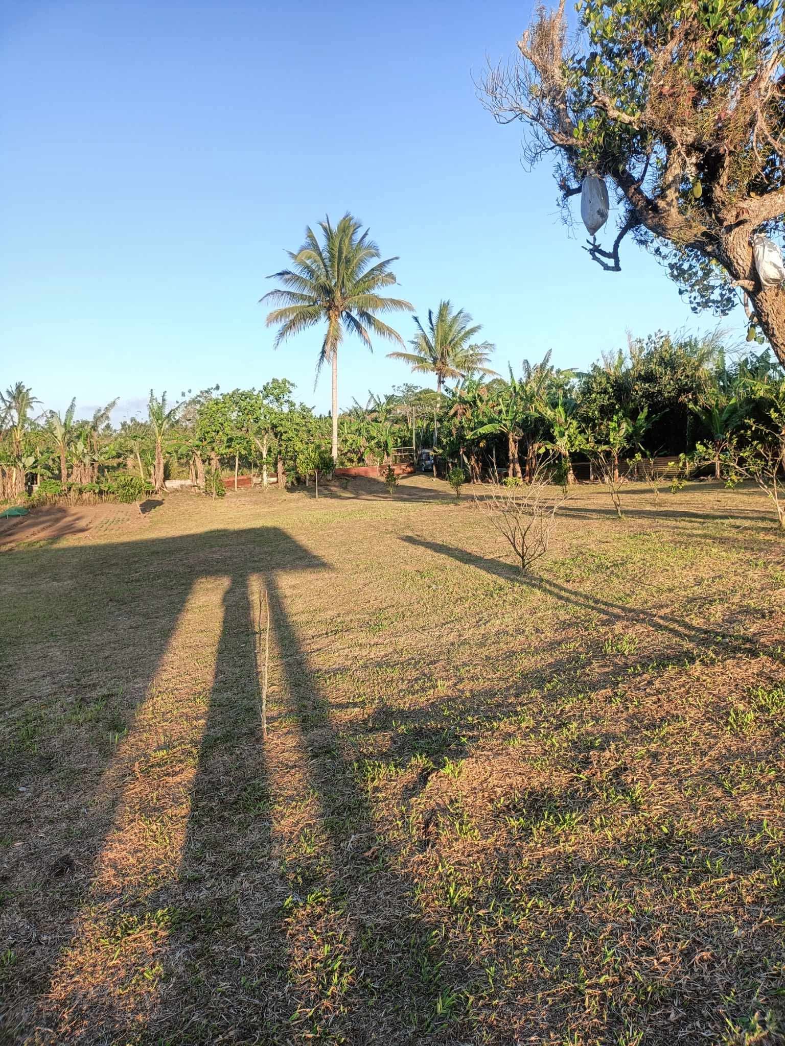 2-HECTARE PRIME LOT FOR LEASE IN SILANG, CAVITE! https://www.rent.ph/uploads/0021/21217/2025/10/18/fb-img-17607991792351.jpg