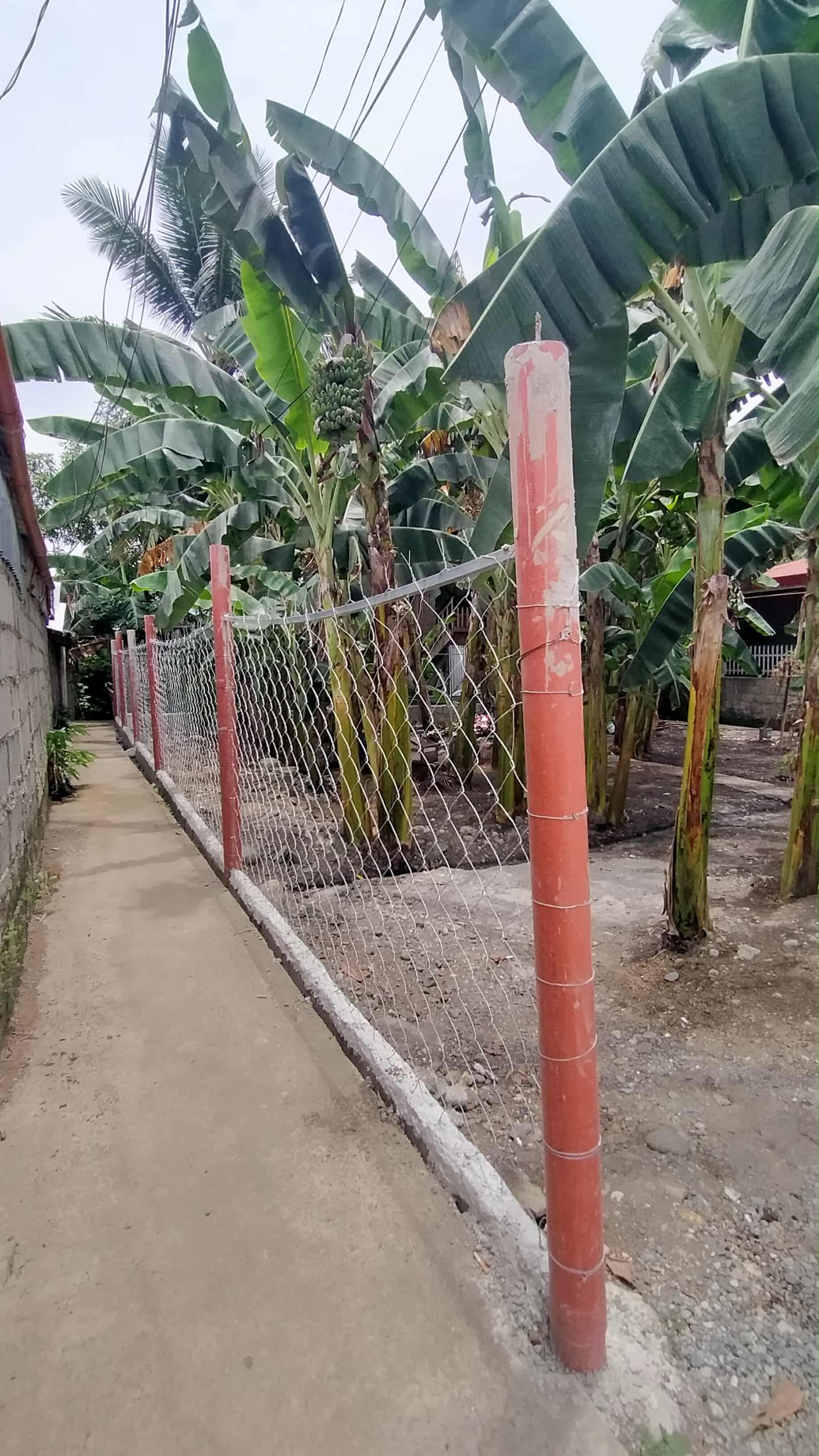 Lot for rent https://www.rent.ph/uploads/0022/22233/2025/12/10/10000003161.jpg